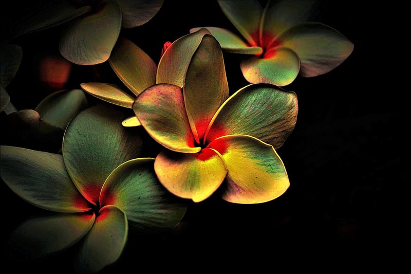 Abstract Photography